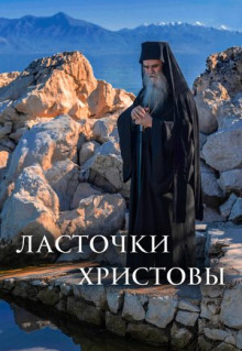 Фильм Ласточки Христовы (2021)