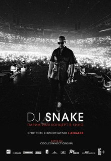 Фильм DJ SNAKE: Париж 2020. Концерт в кино (2020)