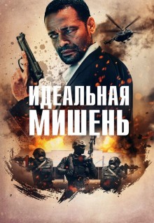 Идеальная мишень