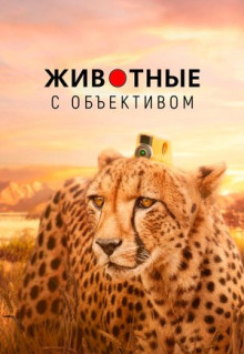 Сериал Животные с объективом (2018)