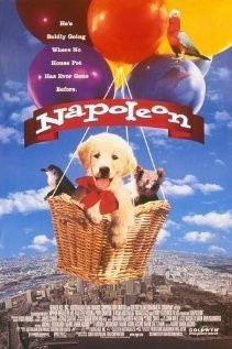 Фильм Наполеон (1995)