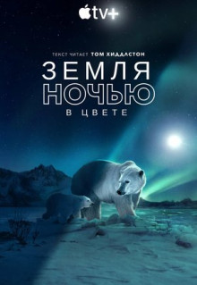 Сериал Земля ночью в цвете (2020)