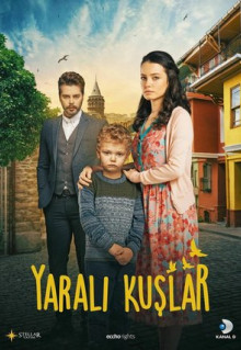 Сериал Раненые птицы (2019)