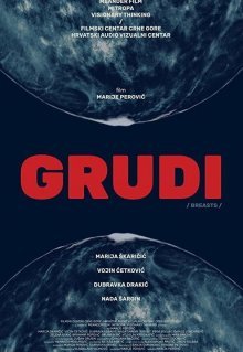 Grudi