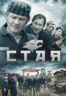 Сериал Стая (2009)