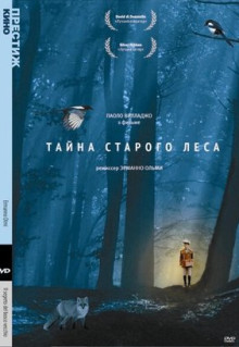 Фильм Тайна старого леса (1993)