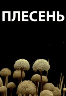 Фильм Плесень (2009)