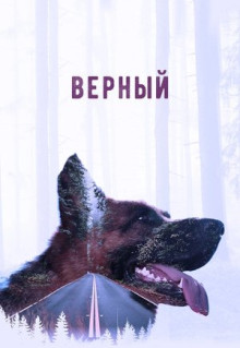 Фильм Верный (2016)