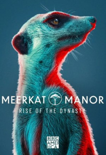 Meerkat Manor: Rise of the Dynasty