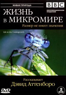 BBC: Жизнь в микромире