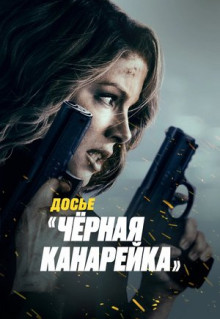 Фильм Досье «Чёрная канарейка» (2024)