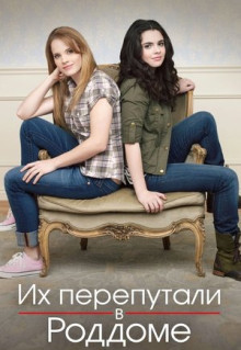 Сериал Их перепутали в роддоме (2011)