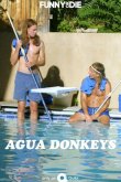 Agua Donkeys