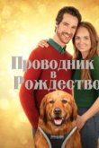 Проводник в Рождество