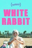 White Rabbit