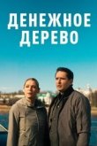 Денежное дерево