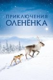 Приключения олененка