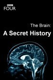 The Brain: A Secret History