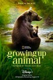 Growing Up Animal