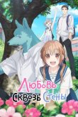 Любовь сквозь стены