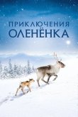 Приключения олененка