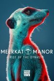 Meerkat Manor: Rise of the Dynasty