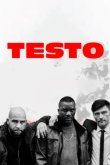 Тестостерон